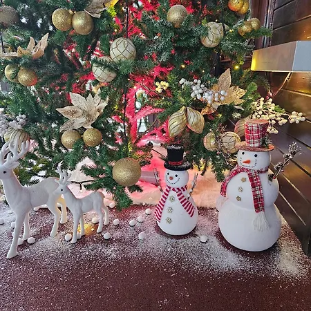 Holidays * Predeal